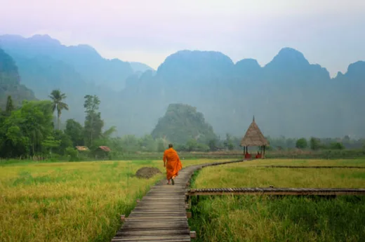 Monk walking through rice fields in Vang Vieng, Laos
